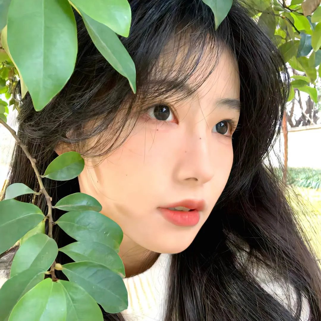 楼王之迷